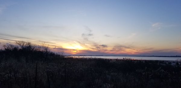 Jamaica Bay Wildlife Refuge by null
