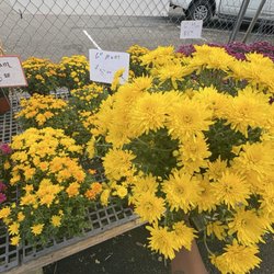 The Flower Station