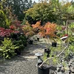 Walrath Landscape Supply