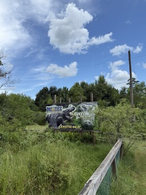 Gator Country by null