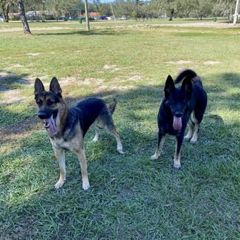 Brandon Lakes Animal Hospital - Bandit and Sake! - Veterinarians Near Me - Riverview, Florida