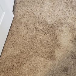 Red Rocks Carpet Cleaning & Upholstery Care