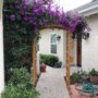 Photo of Luis Landscaping And Maintenance