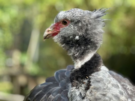 Jacksonville Zoo and Botanical Gardens by null