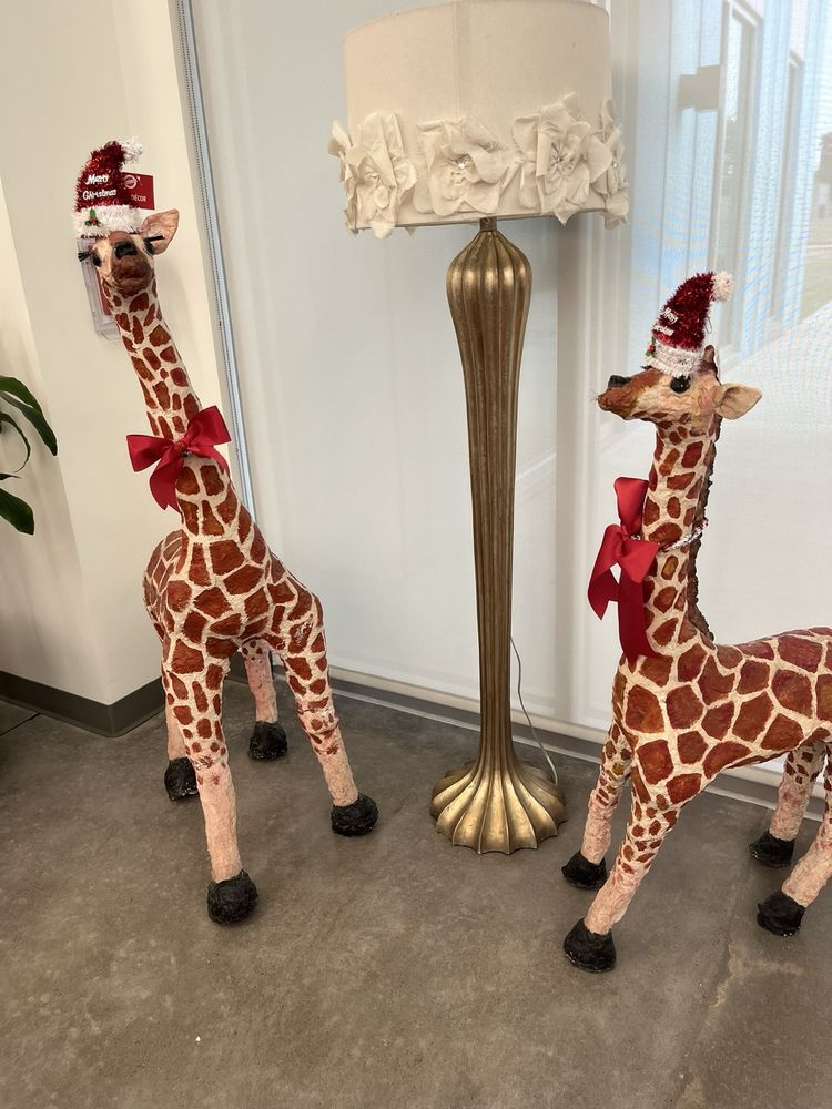 Baker Ripley - social services organization in Houston, TX