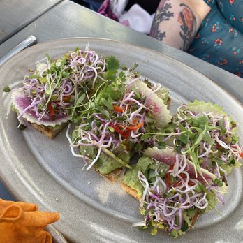 Openaire - Avacado toast - New American Near Me - Los Angeles, California