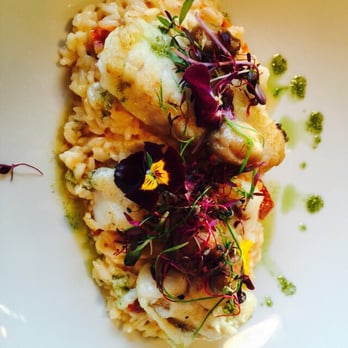 Top 1 Forever - Roasted monk fish with risotto. Not worth the price. - French Near Me - London, XGL Top 1 Forever - Roasted monk fish with risotto. Not worth the price. - French Near Me - London, XGL