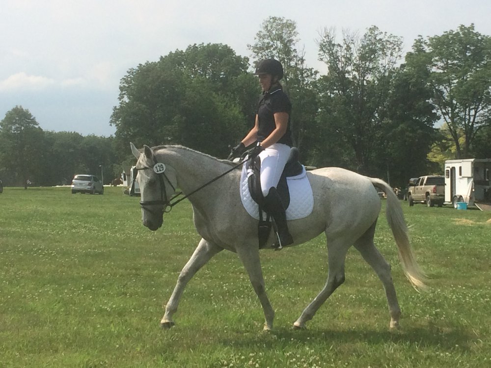 Simple Gifts Farm Equestrian School - equestrian in Harleysville, PA