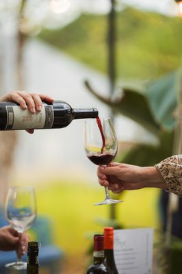 Glasshouse Kitchen by null