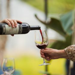 Wine socials in the courtyard