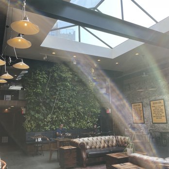 Devocion - Seating area (look at those plants! Look at that natural light!) - Coffee & Tea Near Me - Brooklyn, New York