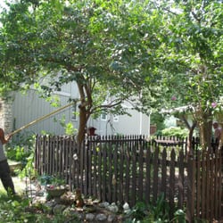 Days Tree Service