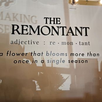The Remontant - The Remontant - Gift Shops Near Me - Kirkland, Washington The Remontant - The Remontant - Gift Shops Near Me - Kirkland, Washington