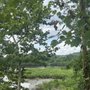 Photo of Anacostia Riverwalk Trail