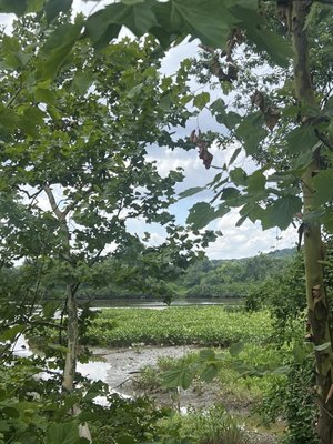 Anacostia Riverwalk Trail