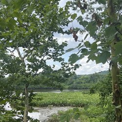 Anacostia Riverwalk Trail - Outside