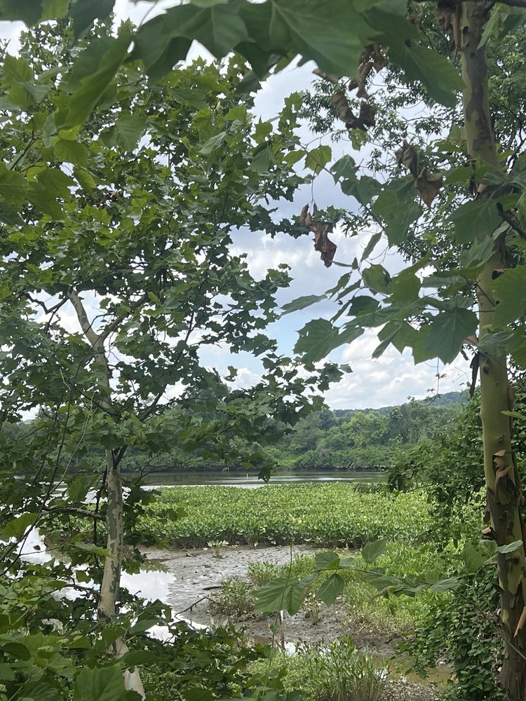 Anacostia Riverwalk Trail
