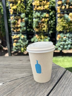 Blue Bottle Coffee by null