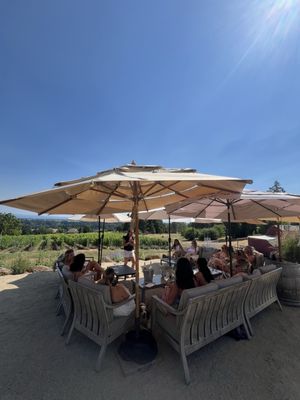 Terra Vina Wines Vineyard by null