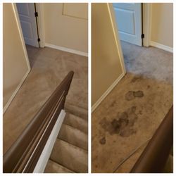 Colorado Flooring Group - It can be cleaned