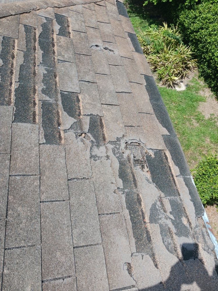 Slide of Licea Roofing