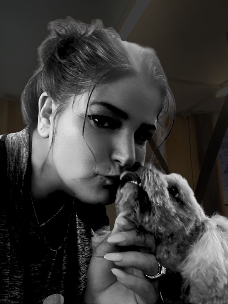 Kat’s Professional Grooming Image