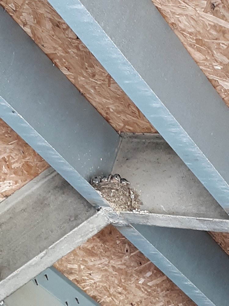 HAVERHILL EQUESTRIAN CENTER 2986 McKeachie Rd, White Lake, Michigan