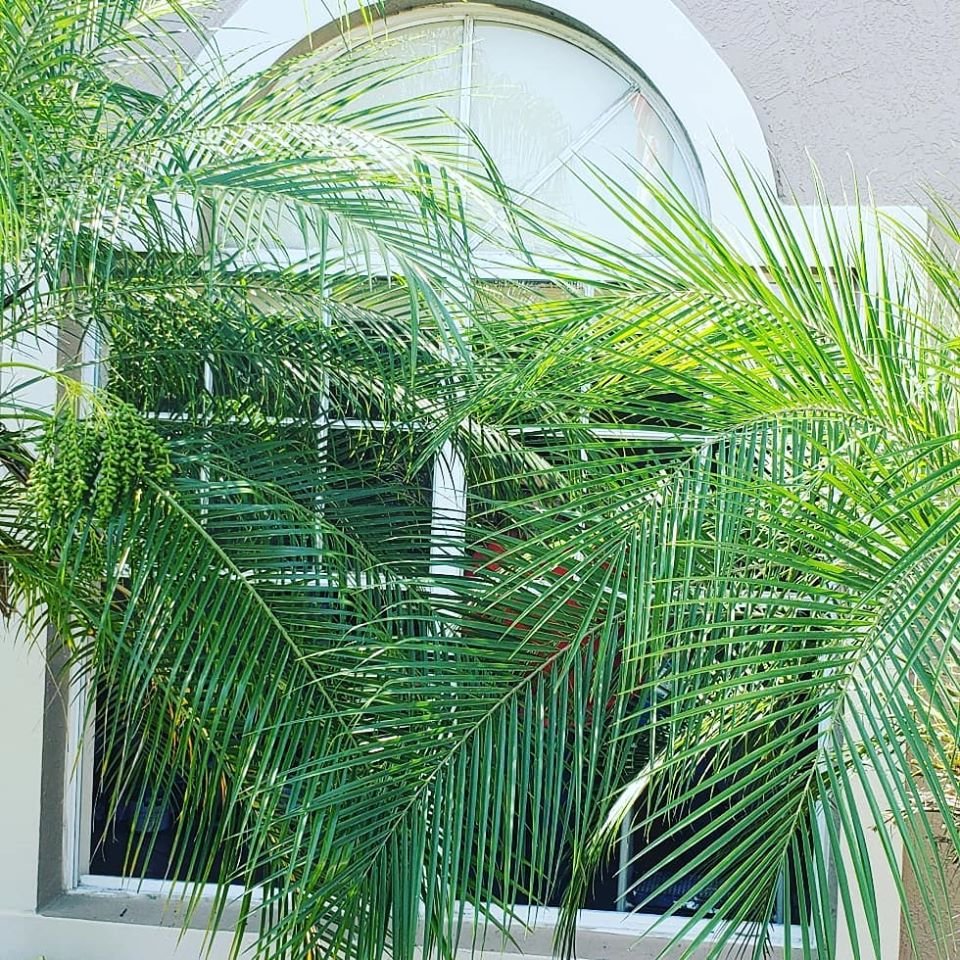 Slide of Florida Secure Windows & Doors