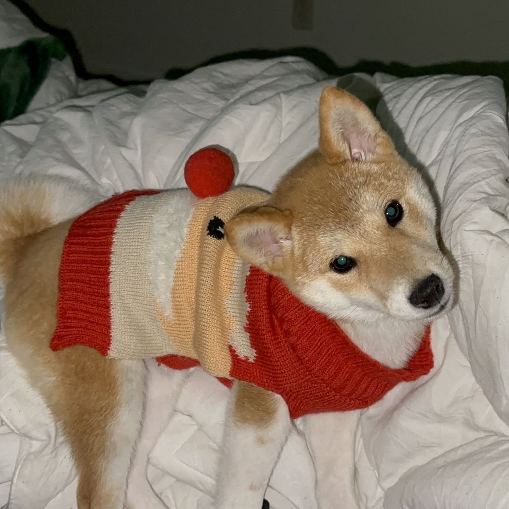 Christmas Outfit Christmas Outfit