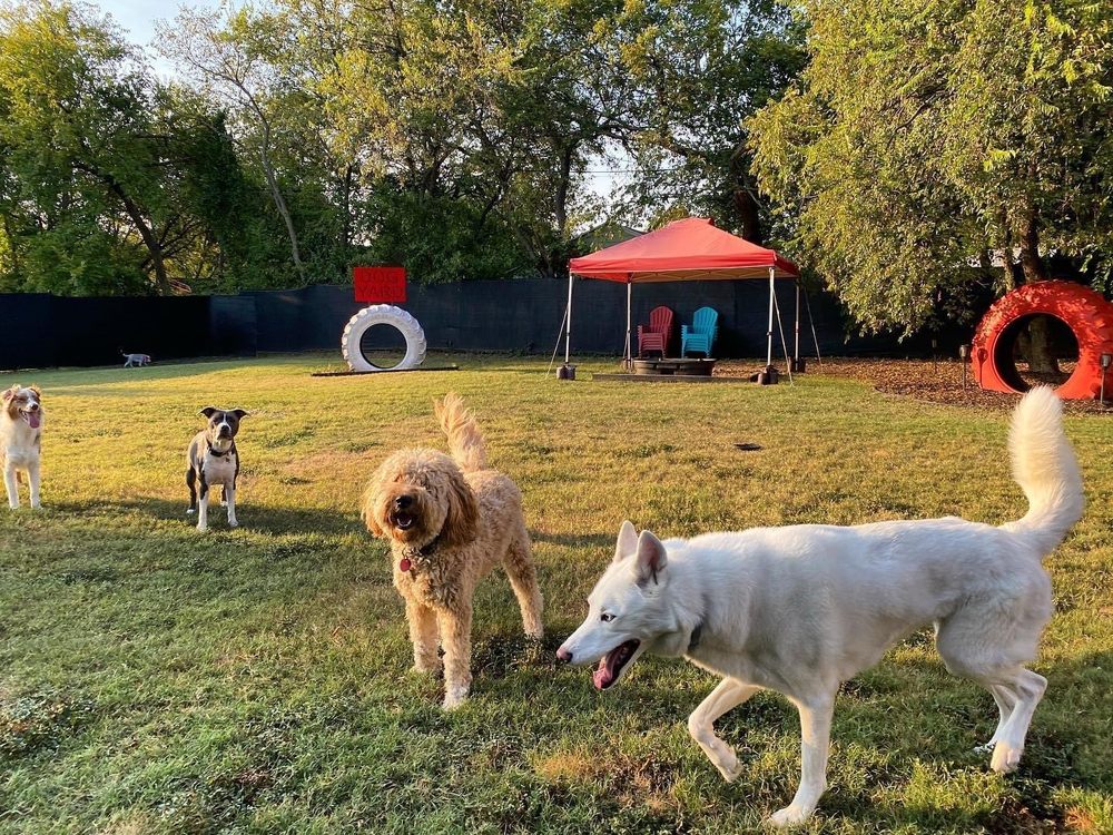 The Furry Guys