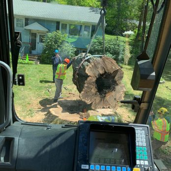 Elquin Tree Service - Tree Services Near Me Elquin Tree Service - Tree Services Near Me