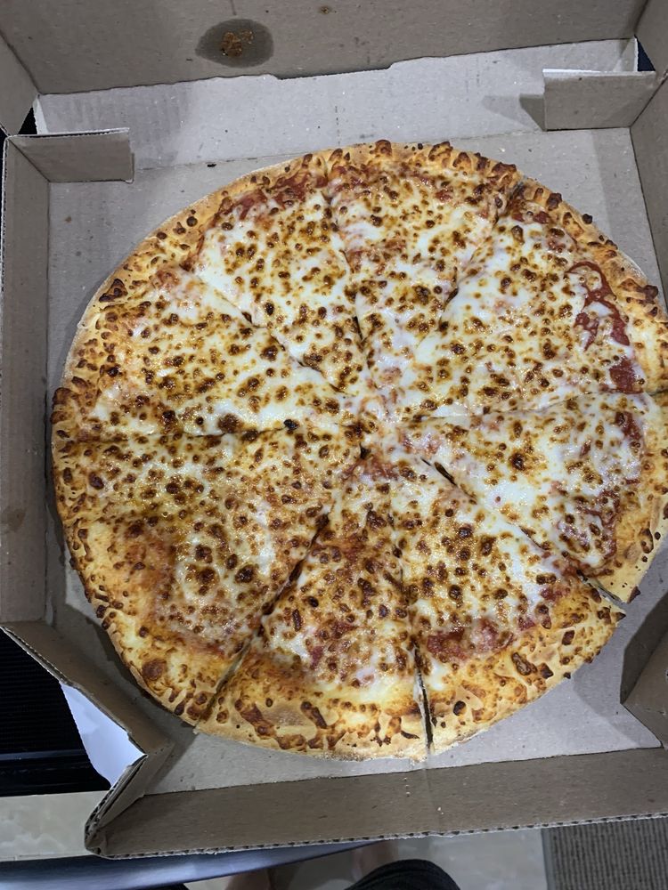 Domino’s Pizza Logo