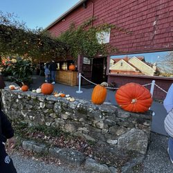 Homestead Farm of Jones Family Farms