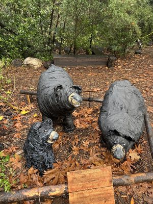 Santa Barbara Botanic Garden by null