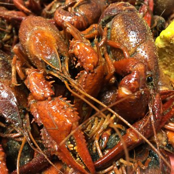 Judice's Cajun Cafe - Crawfish tray! - Cajun/Creole Near Me - Bridge City, Texas