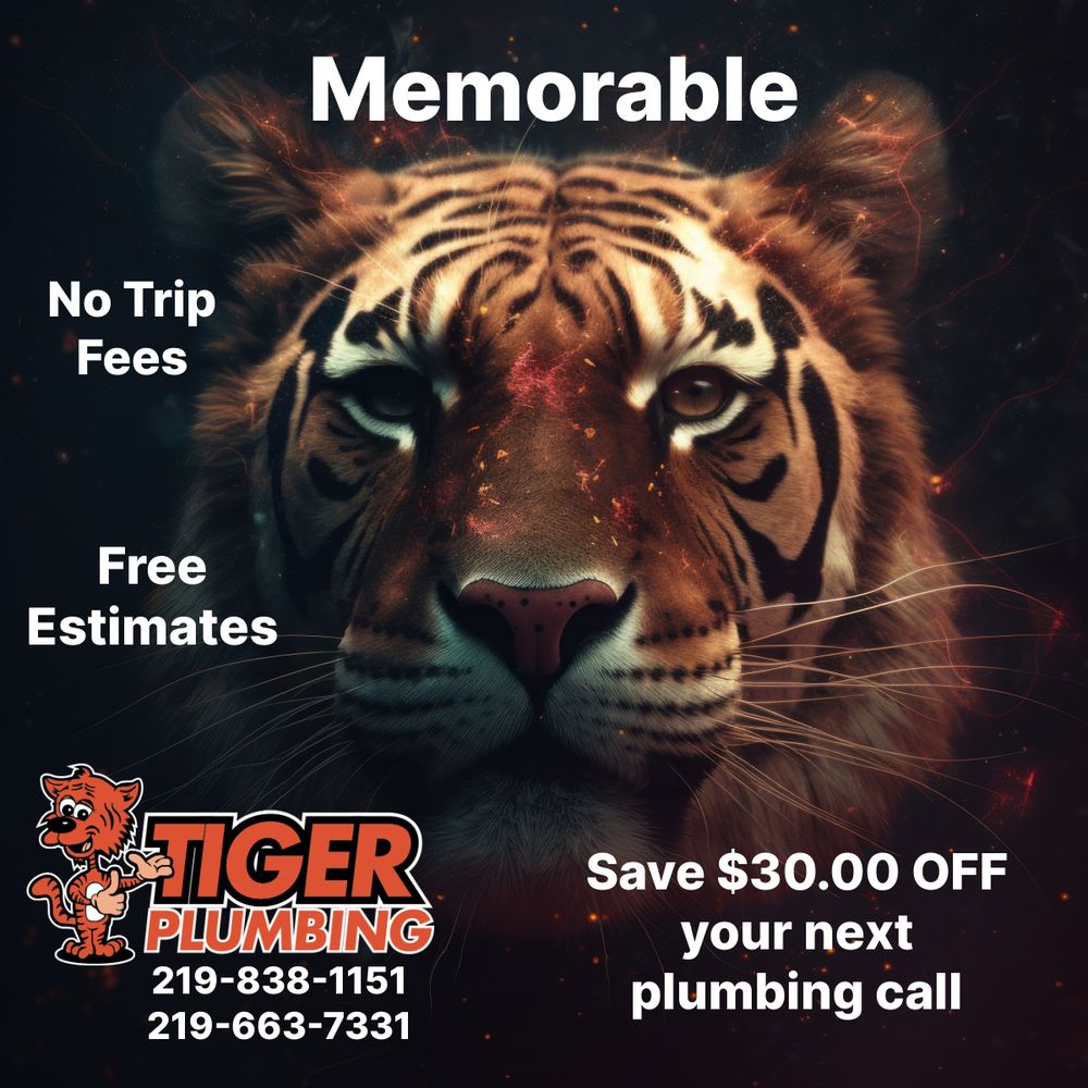 Slide of Tiger Plumbing