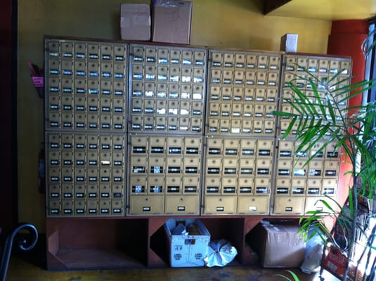 Barefoot Buddha by null