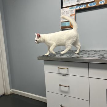 Staunton River Vet Clinic - Veterinarians Near Me - Moneta, Virginia Staunton River Vet Clinic - Veterinarians Near Me - Moneta, Virginia