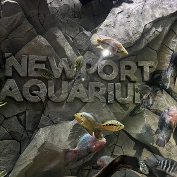 Newport Aquarium - One of the first tanks you see when you enter. - Aquariums Near Me - Newport, Kentucky