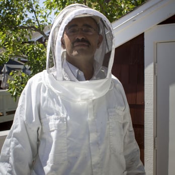 Khaled's Alive Bee Removal Service - Khaled after a fast fix on 4 wasp nests. - Pest Control Near Me - Oakland, California Khaled's Alive Bee Removal Service - Khaled after a fast fix on 4 wasp nests. - Pest Control Near Me - Oakland, California