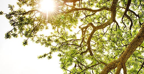 Ana Maria Buzzi, MA LPA LMHC - grief counselor in Miami, FL