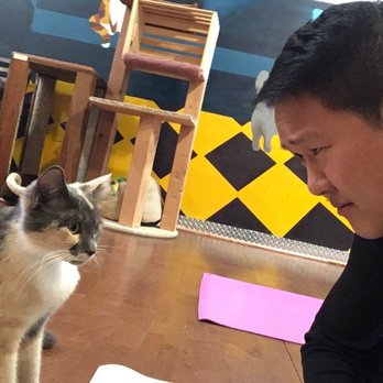The Cat Cafe - Coffee & Tea Near Me - San Diego, California The Cat Cafe - Coffee & Tea Near Me - San Diego, California