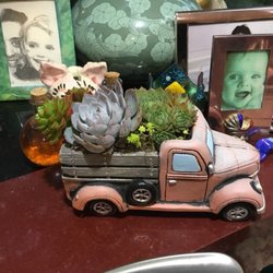 Half off succulents! This one was only $13.50