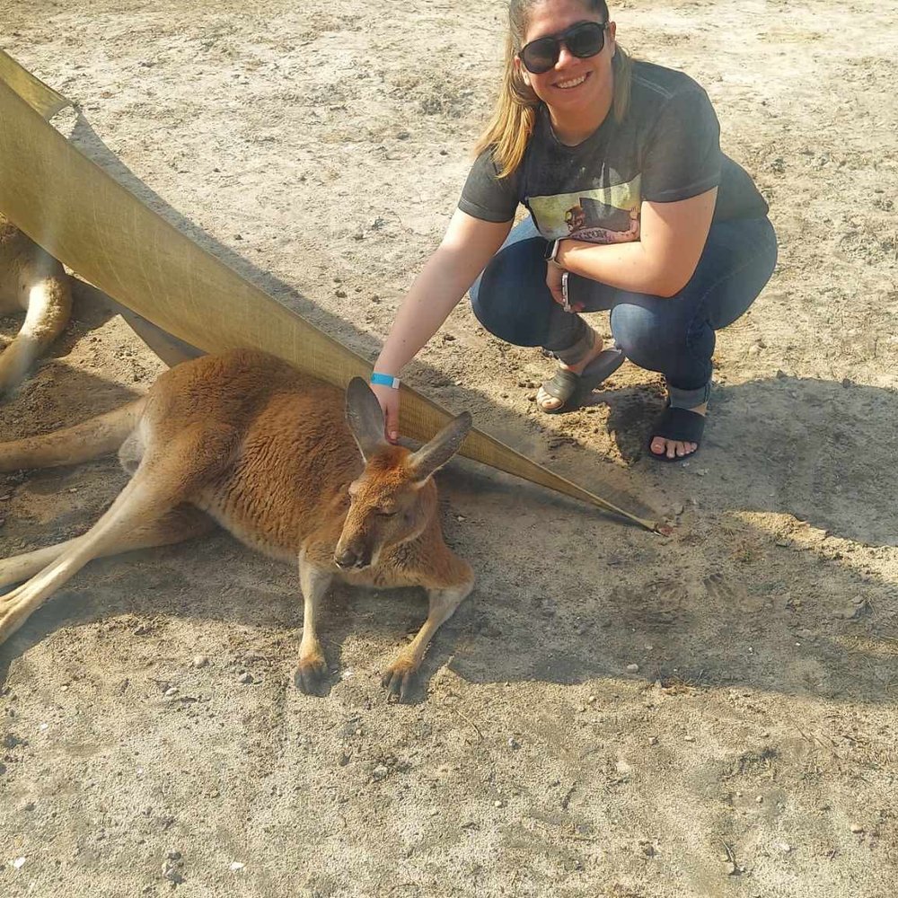 Coastal Wilds - Me and Loki! Very chill kangaroo exhibit. - Petting Zoos Near Me - Frankford, Delaware Coastal Wilds - Me and Loki! Very chill kangaroo exhibit. - Petting Zoos Near Me - Frankford, Delaware