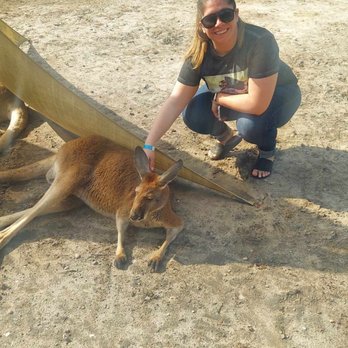 Coastal Wilds - Me and Loki! Very chill kangaroo exhibit. - Petting Zoos Near Me - Frankford, Delaware