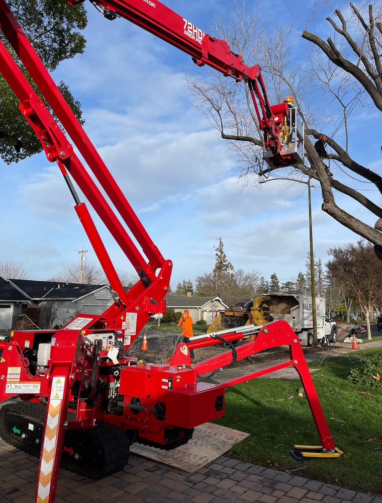 Majestic Tree Service - tree service in San Jose, CA
