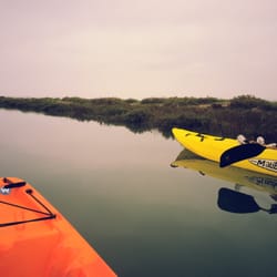 CHULA VISTA KAYAK - With the pickleweeds!! We Had a blast