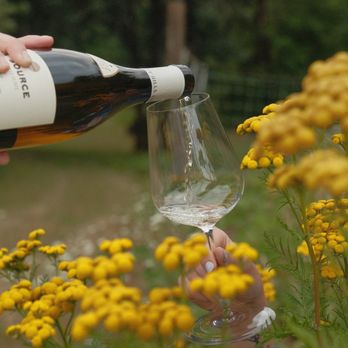Evening Land - Chardonnay - Wineries Near Me - Salem, Oregon Evening Land - Chardonnay - Wineries Near Me - Salem, Oregon