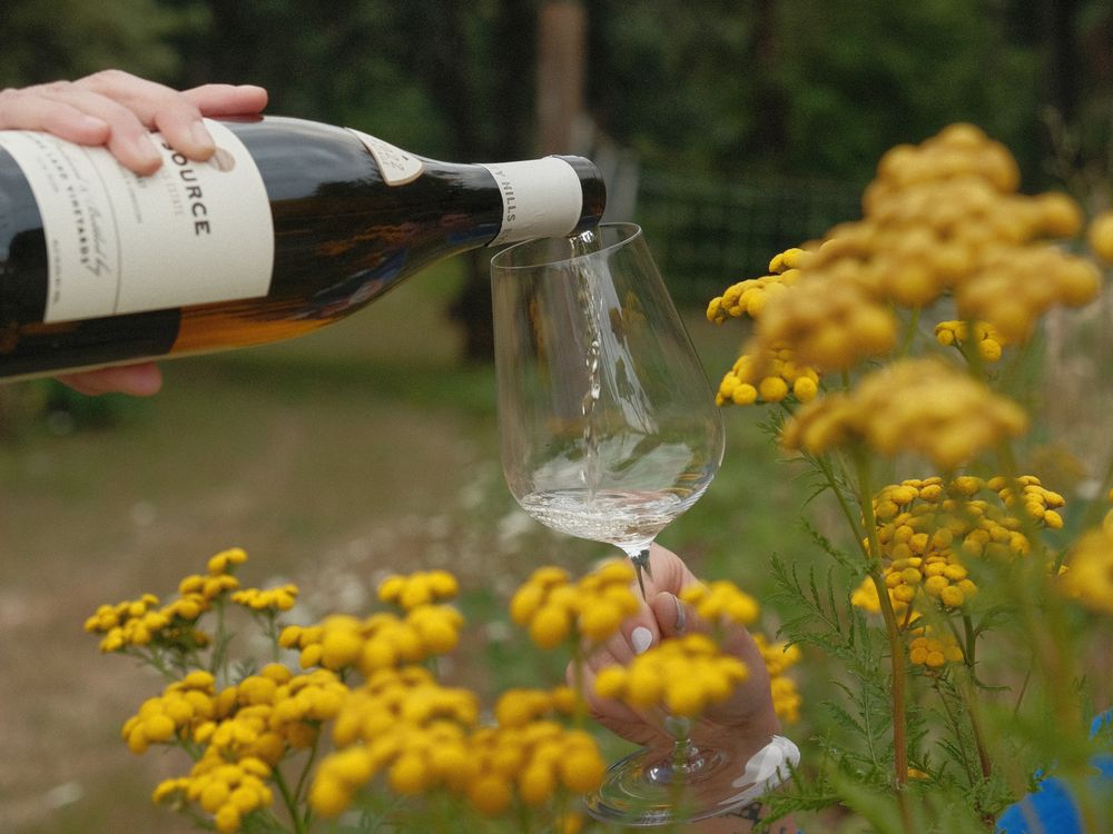 Evening Land  - vineyard in Salem, OR