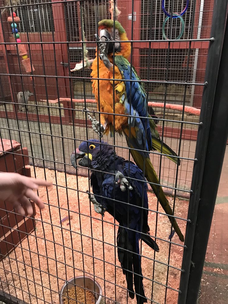 NEMACOLIN’S WILDLIFE ADVENTURE Updated September 2024 1001